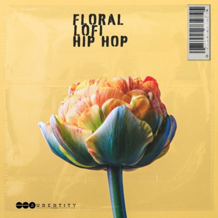 Audentity Records Floral Lofi Hip Hop