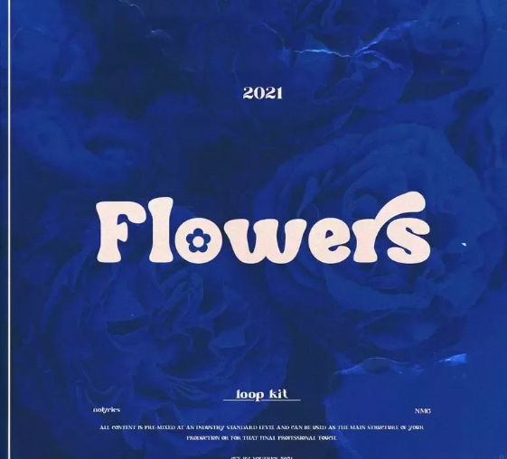 nolyrics FLOWERS MULTiFORMAT