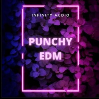 Infinity Audio Punchy EDM