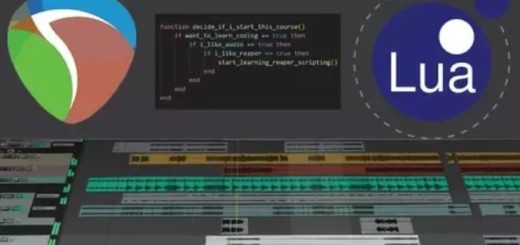 Udemy Reaper Scripts for Beginners