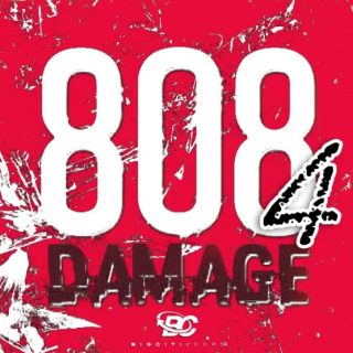 Big Citi Loops 808 Damage 4