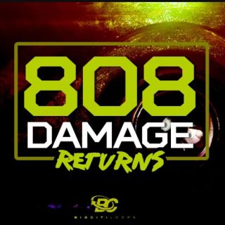 Big Citi Loops 808 Damage Returns