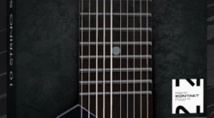 Orange Tree Samples Evolution 10 String Stick v1.2.5