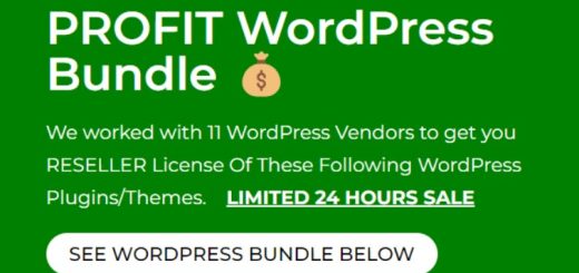 Satish Gaire – Profit WP Bundle ( 2024)
