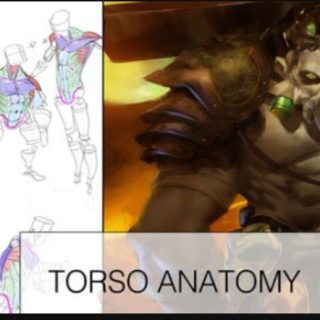 Gumroad –Torso Anatomy Lesson + Painting!