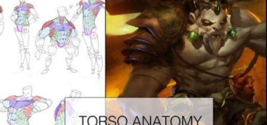 Gumroad –Torso Anatomy Lesson + Painting!