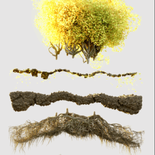Canopy – Advanced Geometry Nodes for Blender 3.3+