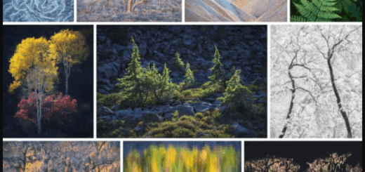 Alex Noriega Photography – Simplify Tutorial