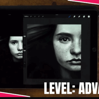 Art With Flo – VIDEO TUTORIAL: Portrait Painting Black & White – Skin texture