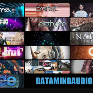 DataMind Audio Combobulator 51 Models Pack