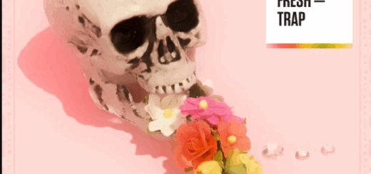 Diginoiz Something Fresh Trap