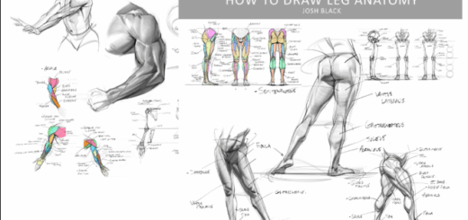 Gumroad – Josh H Black – Legs and Arms Anatomy Bundle