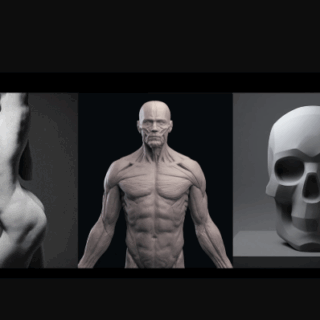 Mold 3D Academy – Artistic Anatomy – Daniel Crossland